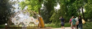 Dijon réinvente son rucher au Jardin de l’Arquebuse : un engagement renouvelé pour les pollinisateurs